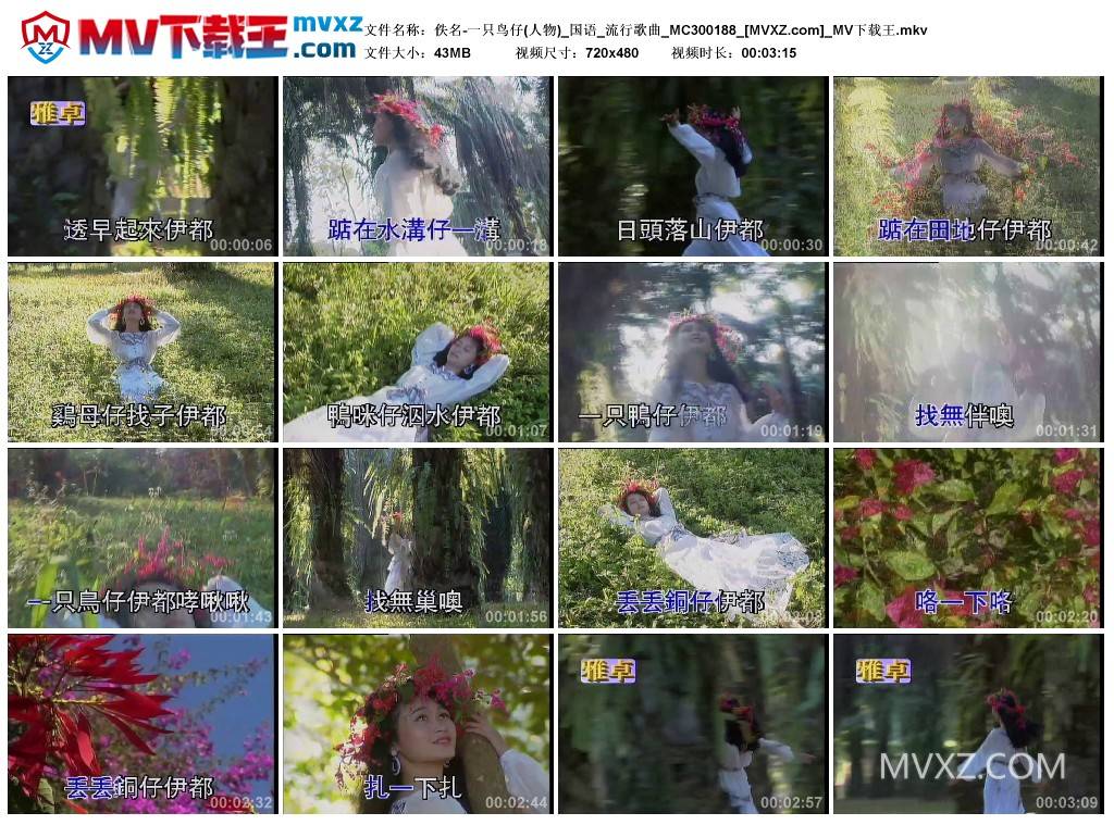 佚名-一只鸟仔(人物)_国语_流行歌曲_MC300188